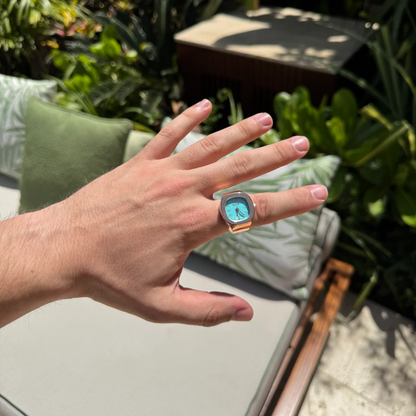 Berlini - NAUTILUS ANILLO | ROSE BLUE